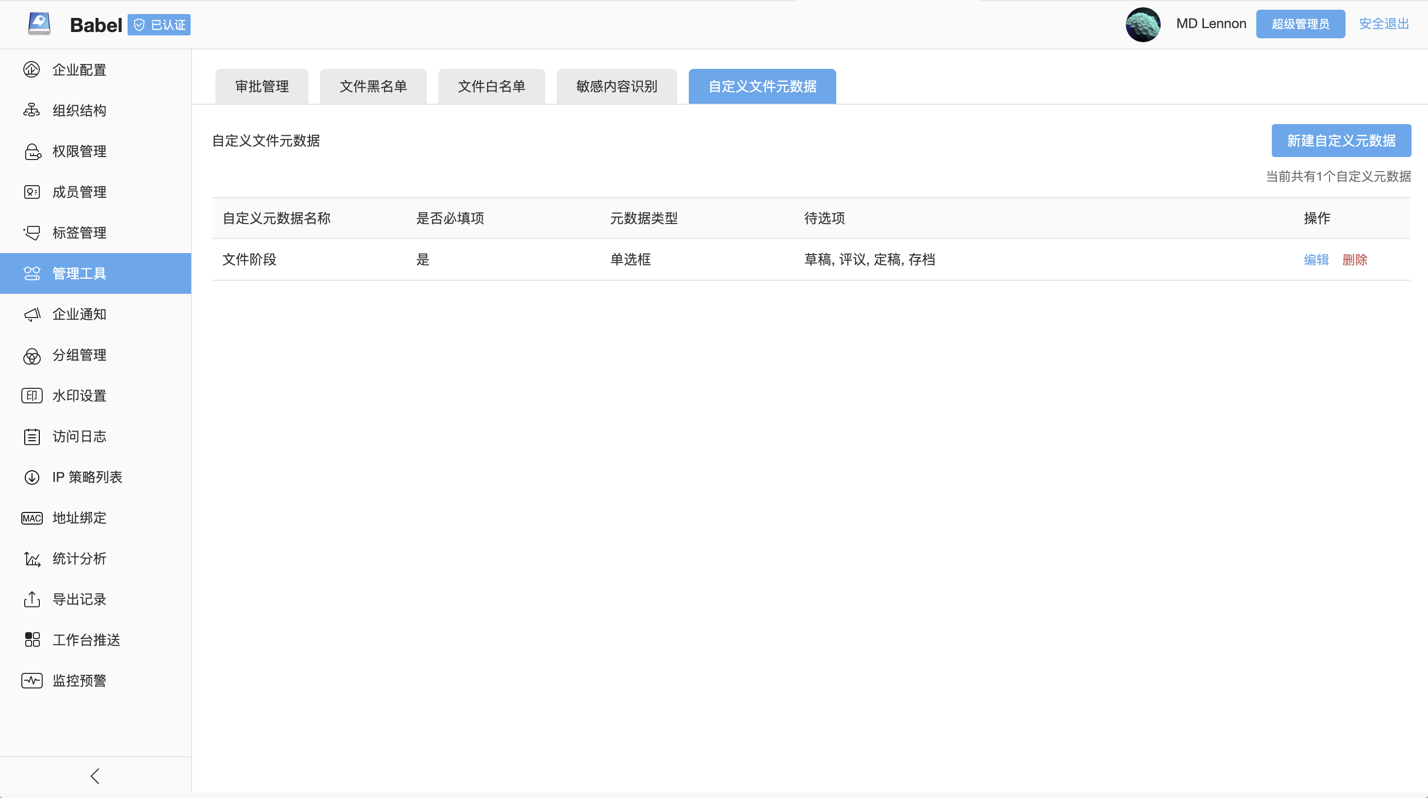 Custom file metadata administration