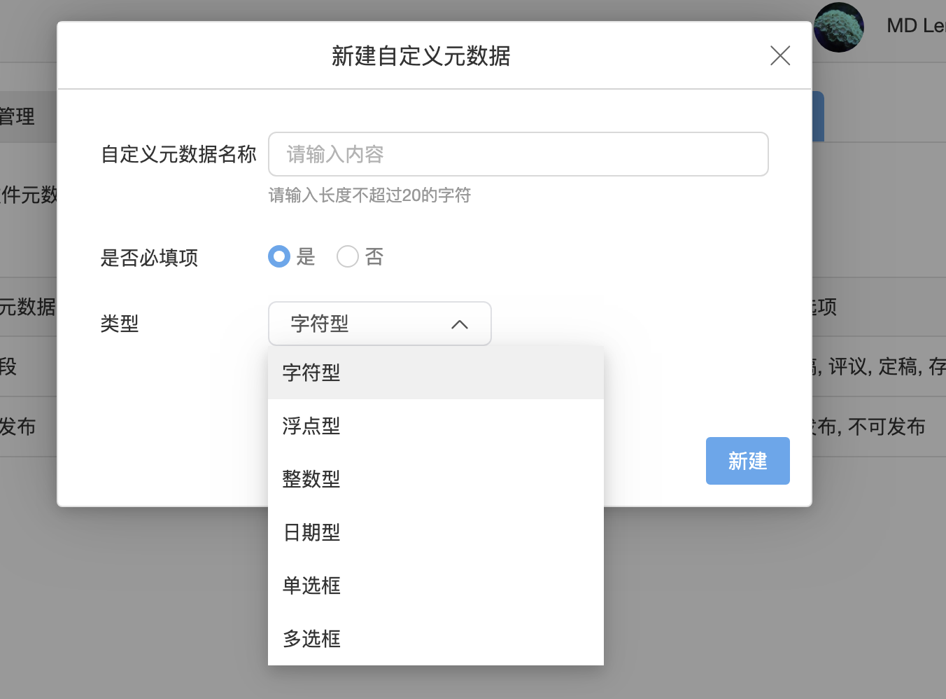 Available custom metadata data types