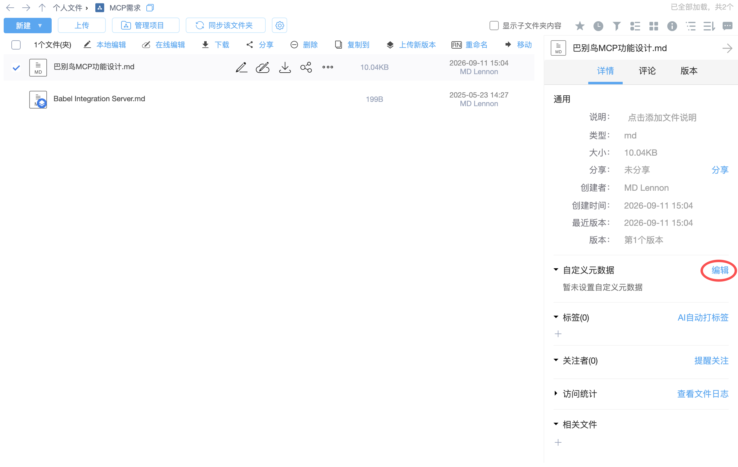 Custom metadata entry in file details
